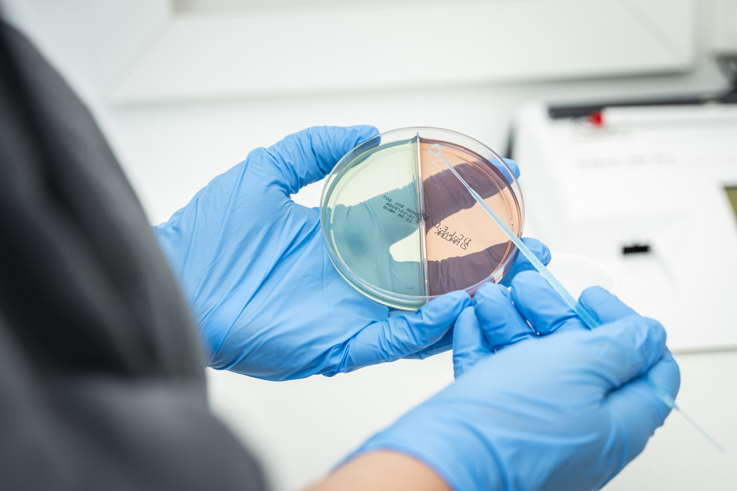 Auswertung einer Urinkultur im Praxislabor der Urologie² Hamm